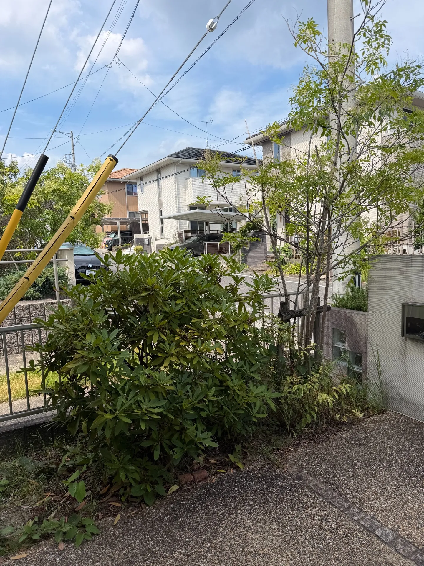 【岡崎市】伐採・駐輪スペース作り